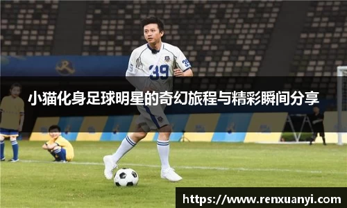 小猫化身足球明星的奇幻旅程与精彩瞬间分享